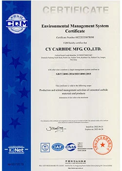 environmental management system certificate